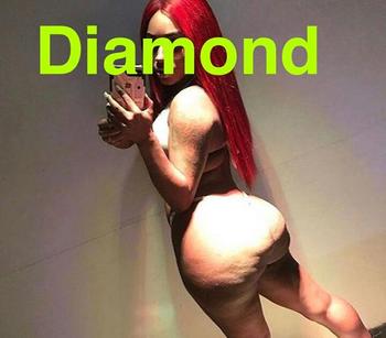 , 20  female escort, Toronto
