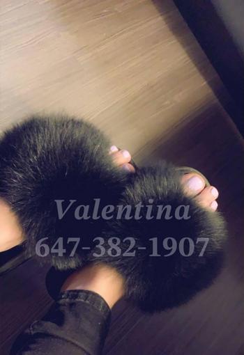 Valentina, 22 Caucasian/White female escort, Toronto